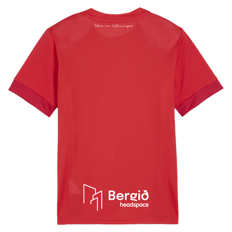 Haukar Keppnistreyja 2025/27