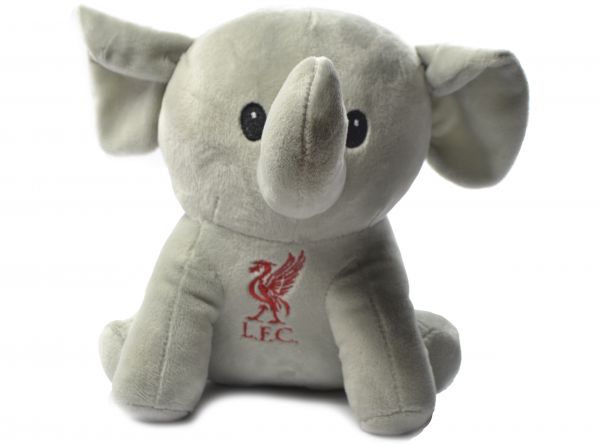 Liverpool. Fíla Bangsi